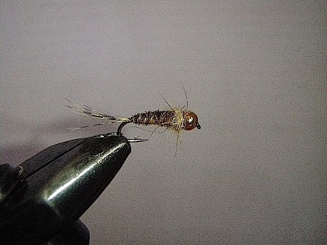 PheasaneTail claire casqu&eacute;e sugg&egrave;re plut&ocirc;t les nymphe d'olive ou sedge du d&eacute;but de saison. Cul-vert,ecdyo,dun,etc...