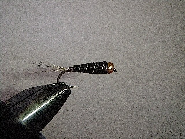 Imitation de nymphe de perle casqu&eacute;e