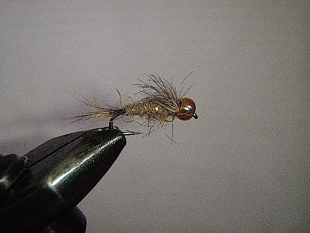 Nymphe d'oreille de li&egrave;vre casqu&eacute;e